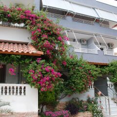 Отель Vila Alvin 3* Апартаменты с различными типами кроватей