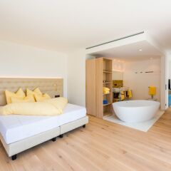 Hotel Gschwangut 4* Люкс