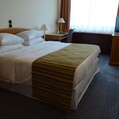 Panorama Zagreb Hotel 4* Стандартный номер с разными типами кроватей