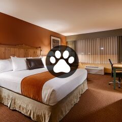 Отель Best Western Plus Rio Grande Inn 3* Стандартный номер с различными типами кроватей