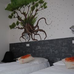 Hotel Arca 3* Стандартный номер