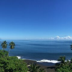 Отель Tahiti Pearl Beach Resort 4* Номер категории Премиум с различными типами кроватей