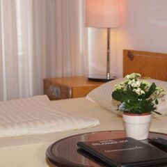 Отель Erlanger Hof 3* Стандартный номер с двуспальной кроватью