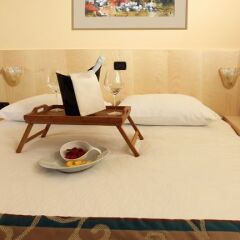 Hotel Malovec 3* Номер Комфорт с различными типами кроватей фото 13