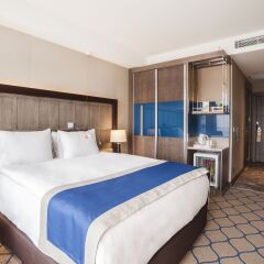 Holiday Inn Kayseri - Duvenonu 4* Стандартный номер с различными типами кроватей