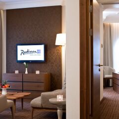 Radisson Blu Hotel, Kyiv Podil 4* Стандартный номер с различными типами кроватей фото 2