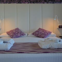 Отель Petit Palace Savoy Alfonso Xii 4* Номер Дабл