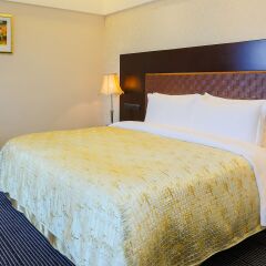 Отель Grand Skylight Garden 4* Представительский номер