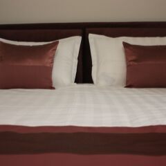 Vivulskio Hotel 3* Стандартный номер с двуспальной кроватью