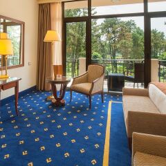 Georgia Palace Hotel & SPA 5* Стандартный номер с различными типами кроватей