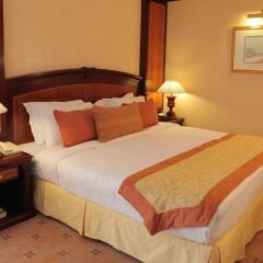 Carlton Palace Hotel комната для гостей фото 4
