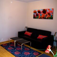 Ole Bull Hotel & Apartments 3* Студия с различными типами кроватей