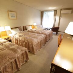 Yamanakakohanso Hotel Seikei 3* Стандартный номер
