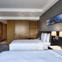 Отель Hilton Sao Paulo Morumbi 5* Стандартный номер с различными типами кроватей