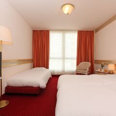 Drake Longchamp Swiss Quality Hotel 3* Стандартный номер с различными типами кроватей