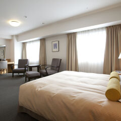 Toyama Excel Hotel Tokyu 3* Стандартный номер фото 2
