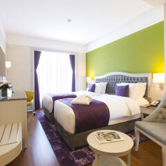 Отель Mercure Tbilisi Old Town Стандартный номер с различными типами кроватей фото 4