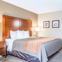 Отель Comfort Inn North/Polaris 2* Стандартный номер с различными типами кроватей