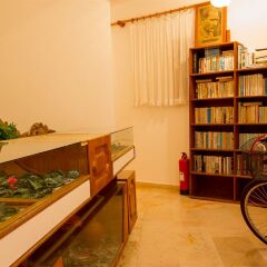 Hotel Villa Önemli развлечения