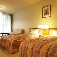 Yamanakakohanso Hotel Seikei 3* Стандартный номер