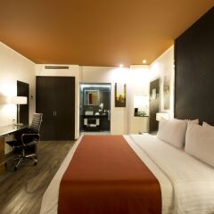 Отель Holiday Inn Mexico Buenavista 4* Стандартный номер