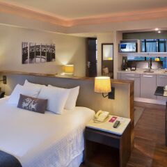 Отель Las Suites Campos Eliseos 4* Представительский люкс