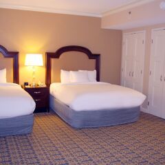 Отель The Capital Hilton 4* Стандартный номер с 2 отдельными кроватями