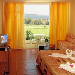 Отель Plamena Palace 4* Стандартный номер с различными типами кроватей фото 5