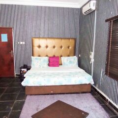 Отель Topaz Lodge 2* Стандартный номер с различными типами кроватей