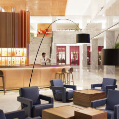 Отель Finest Playa Mujeres by Excellence Group - All inclusive гостиничный бар