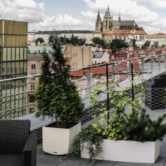 Отель Wenceslas Square Terraces Апартаменты Премиум с различными типами кроватей