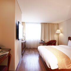 Sejong Hotel 4* Стандартный номер с двуспальной кроватью