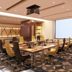 Отель Novotel New Delhi Aerocity Нью-Дели помещение для мероприятий фото 2