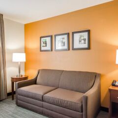 Отель Comfort Inn 2* Стандартный номер с различными типами кроватей
