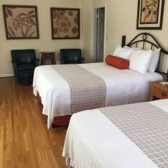 Отель The Eagle Inn 3* Стандартный номер с 2 отдельными кроватями