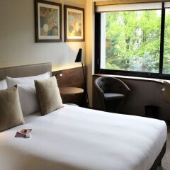 Отель Crowne Plaza Geneva 4* Стандартный номер с различными типами кроватей фото 2