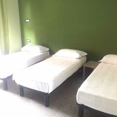 Milan Hotel 3* Стандартный номер с различными типами кроватей