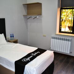 Elysium Gallery Hotel 3* Номер Комфорт с различными типами кроватей фото 2