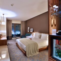 Dosso Dossi Downtown 5* Стандартный номер с двуспальной кроватью