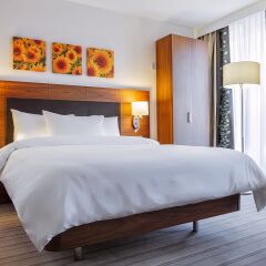 Гостиница Hilton Garden Inn Краснодар (Хилтон Гарден Инн Краснодар) 4* Стандартный номер с двуспальной кроватью
