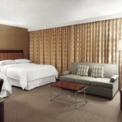 Sheraton Cavalier Saskatoon Hotel 3* Стандартный номер с различными типами кроватей