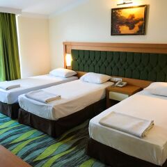Forest Park Hotel 3* Стандартный номер с разными типами кроватей