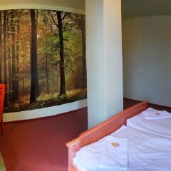 Hotel Liberec 3* Стандартный номер фото 6