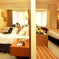 Akgun Istanbul Hotel 5* Семейный номер Делюкс с двуспальной кроватью