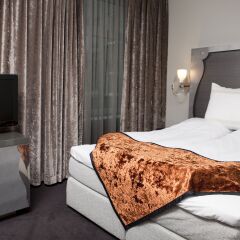 Clarion Hotel Ernst 4* Стандартный номер с двуспальной кроватью