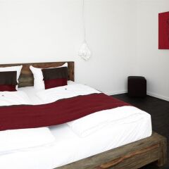 Almodovar Hotel Biohotel Berlin 4* Люкс с различными типами кроватей