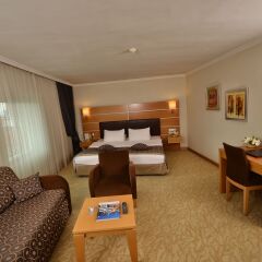 Ankara Plaza Hotel Турция, Анкара - отзывы, цены и фото номеров - забронировать отель Ankara Plaza Hotel онлайн комната для гостей фото 2