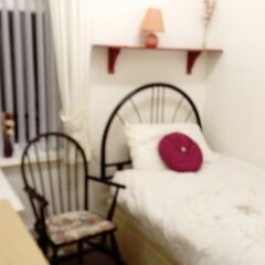 Ardsley Hotel 3* Стандартный номер с различными типами кроватей