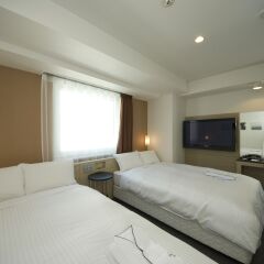 Отель Sotetsu Fresa Inn Tokyo-Kyobashi 3* Стандартный номер с 2 отдельными кроватями