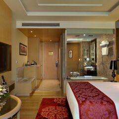 Отель Radisson Blu Jaipur 4* Улучшенный номер с различными типами кроватей